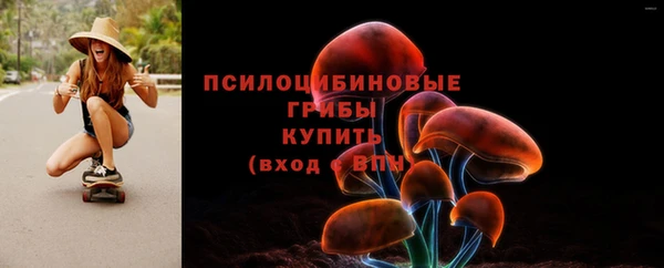 ECSTASY Надым