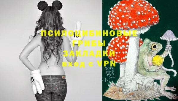 ECSTASY Надым