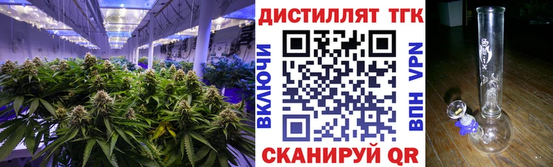 ТГК жижа  Купить  Стародуб 