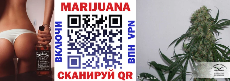Бошки Шишки гибрид  Купить закладки  Стародуб 